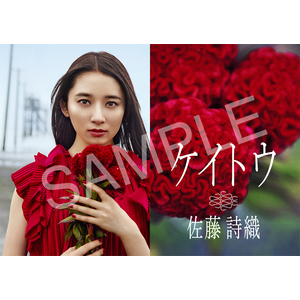 Birthday Art Live 2022 横型ポスター　