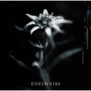 2025.01.08発売 SINGLE「EDELWEISS」