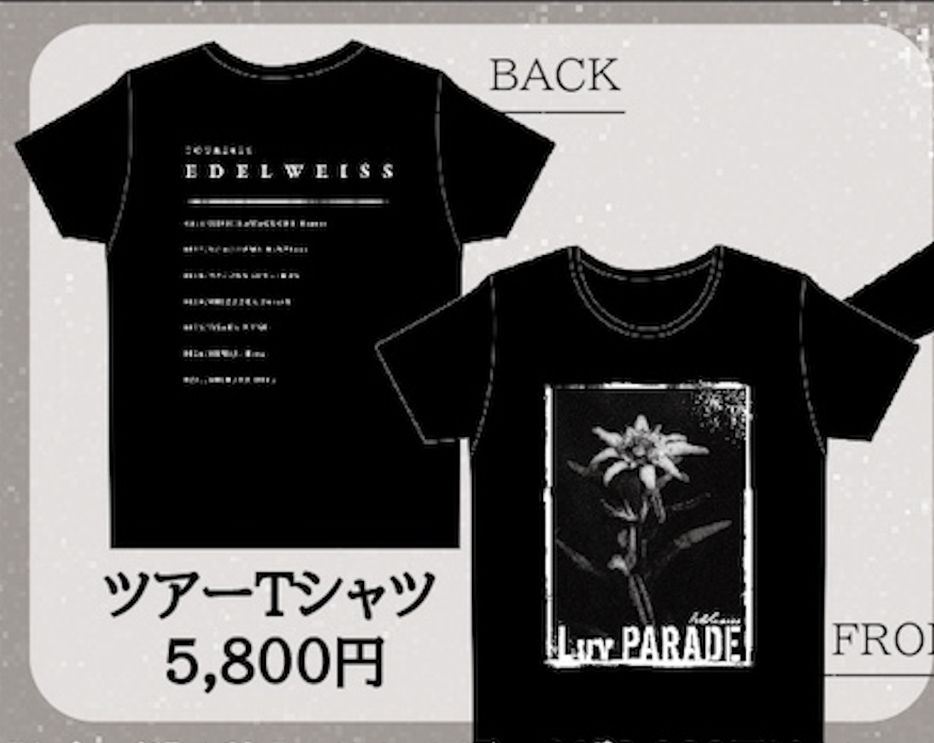 EDELWEISS ツアーTシャツ