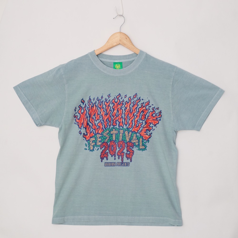 25TEE [Vintage SaxeBlue]