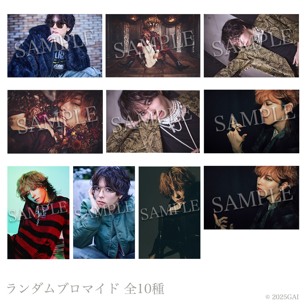 ブロマイド 1st GOODS ランダムブロマイド（全10種） | FUTAGAMI OFFICIAL STORE