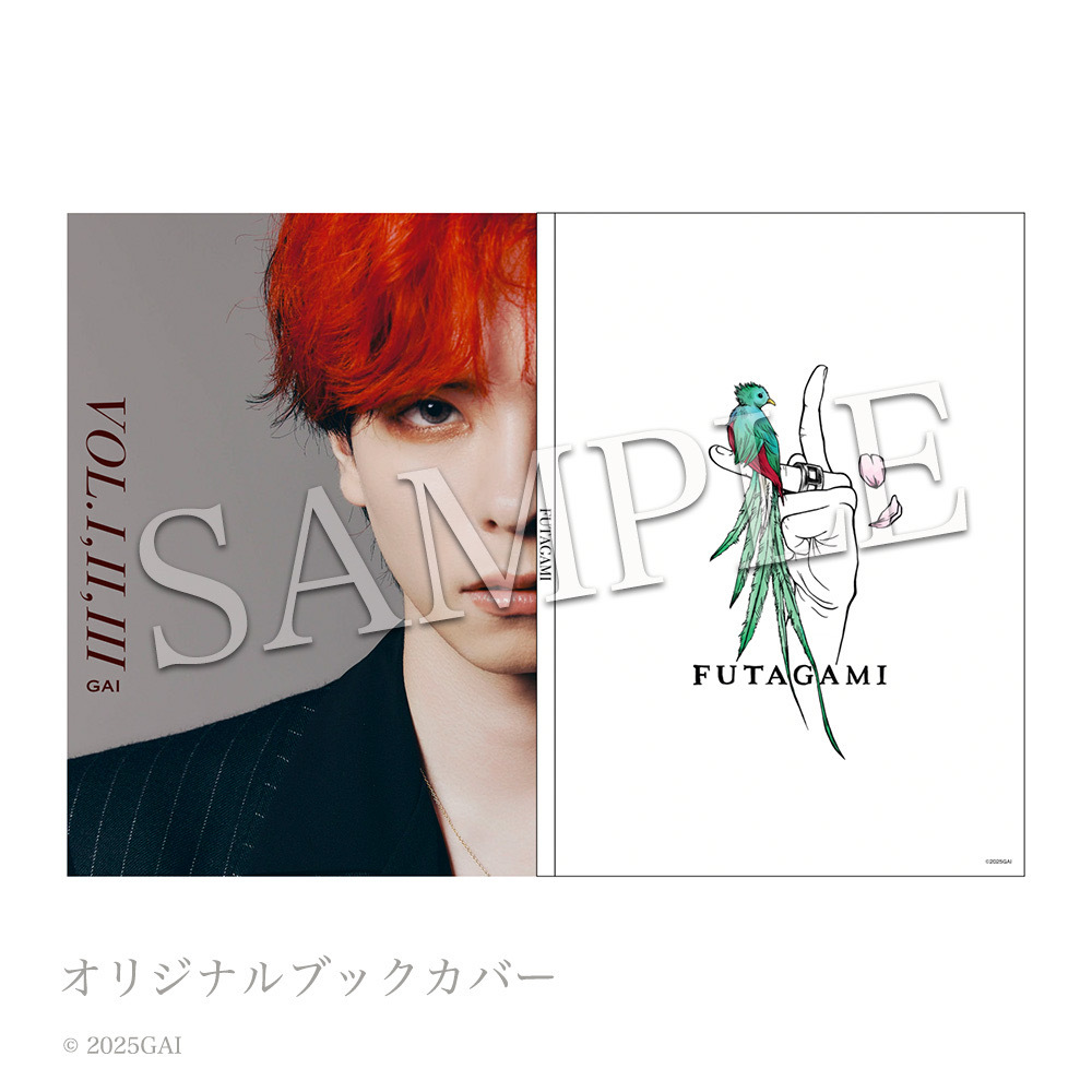 GAI PHOTO BOOK VOL I, II,III