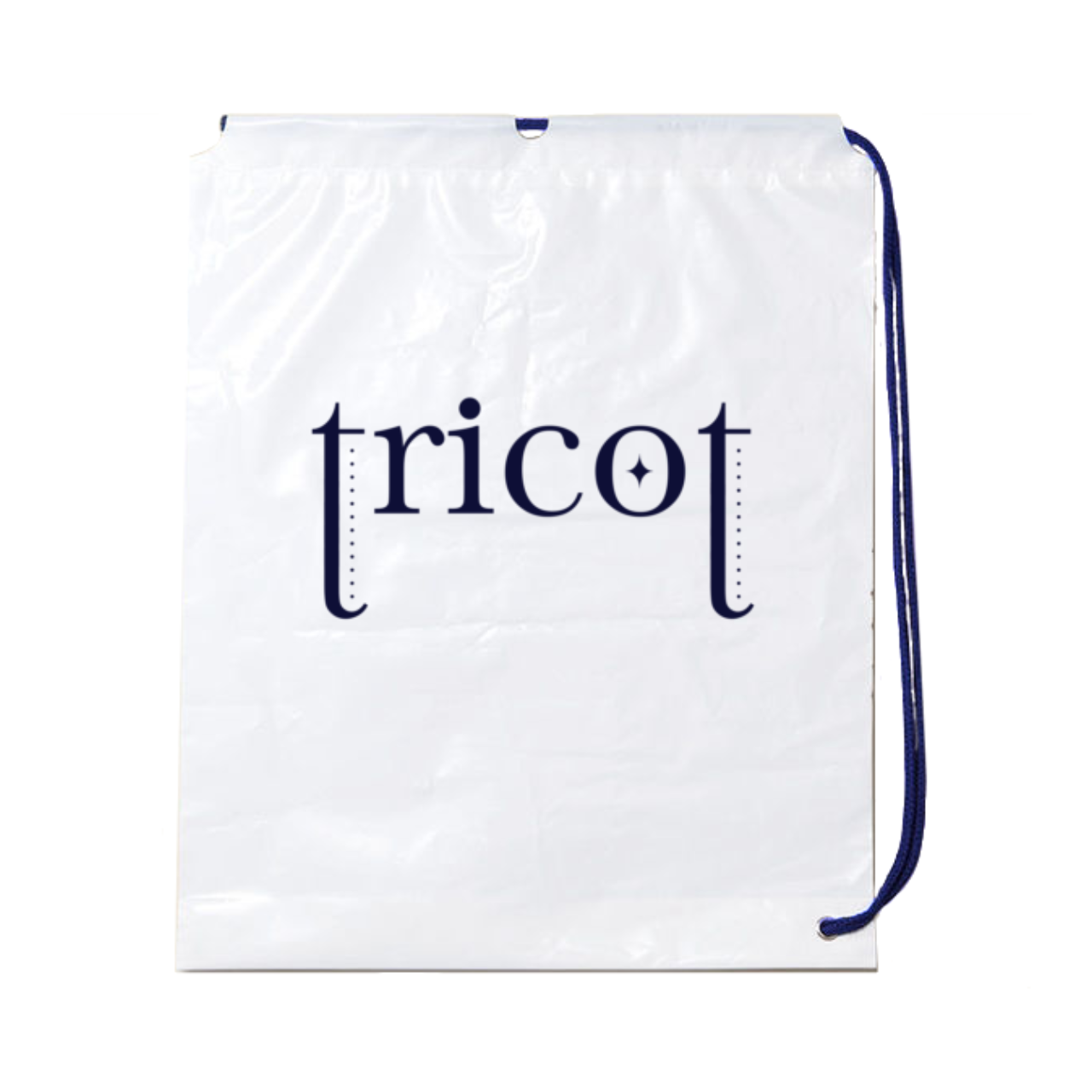 Vinyl Knapsack