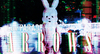 NEW SINGLE「ARROWS」 