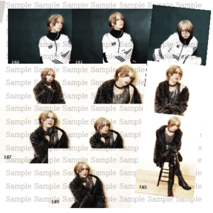 トレーディングカードセットver.11