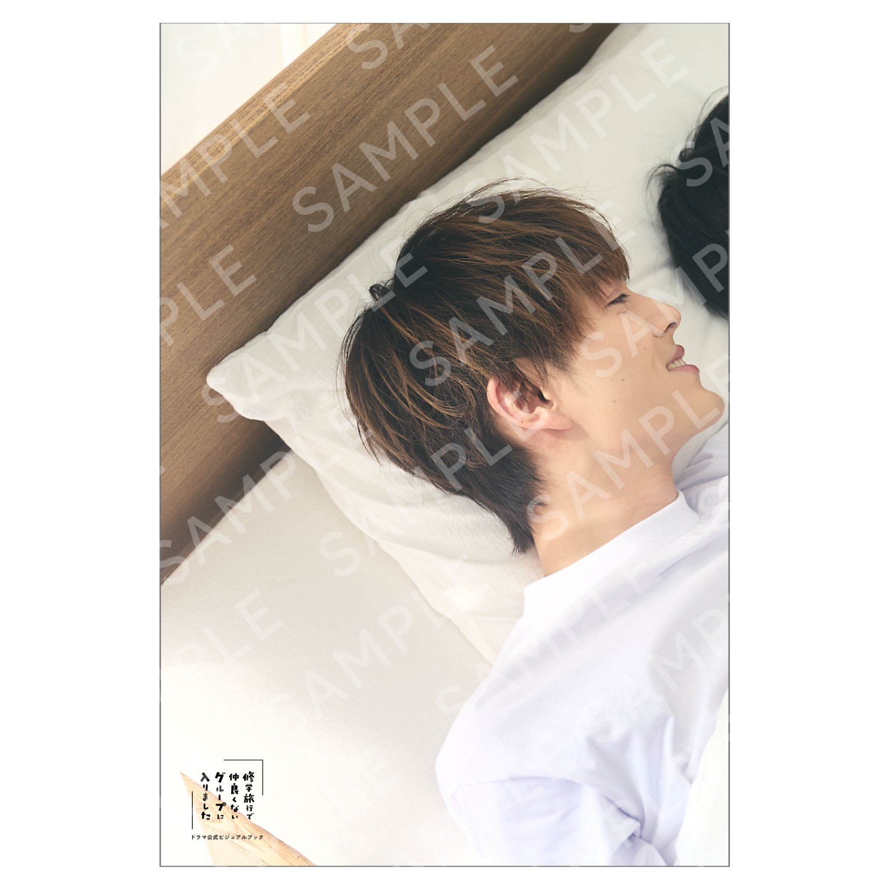 簡秀吉 OFFICIAL FANCLUB 限定特典付き「修学旅行で仲良くないグループに入りました」ドラマ公式ビジュアルブック