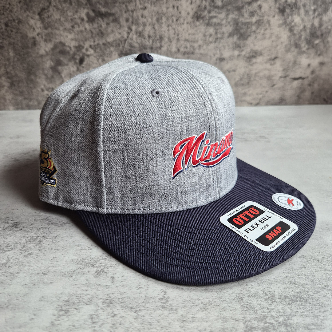 2026 大垣ミナモフラットバイザーキャップ 【4/5(日)13:00まで】550円OFF