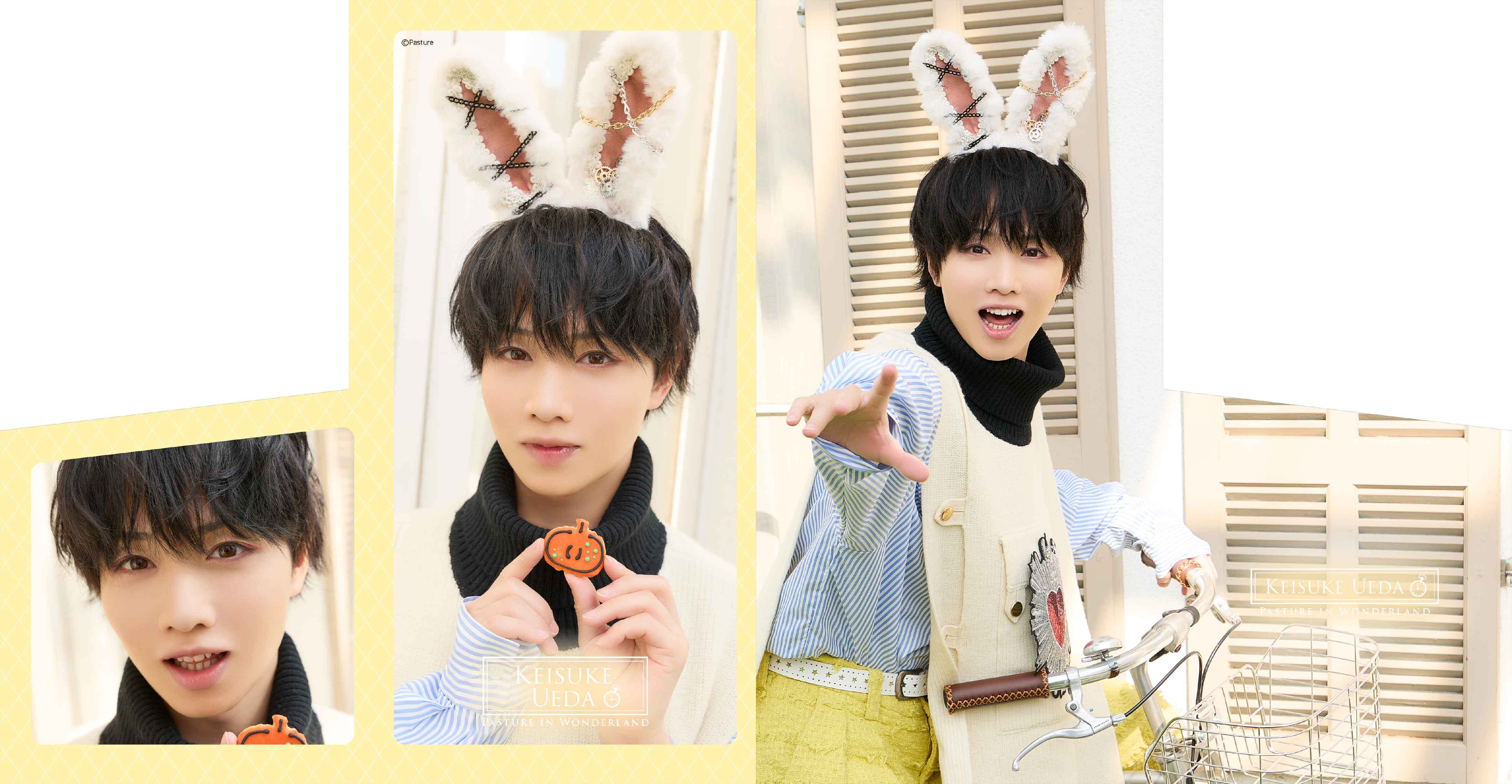 【植田圭輔】チケットホルダー