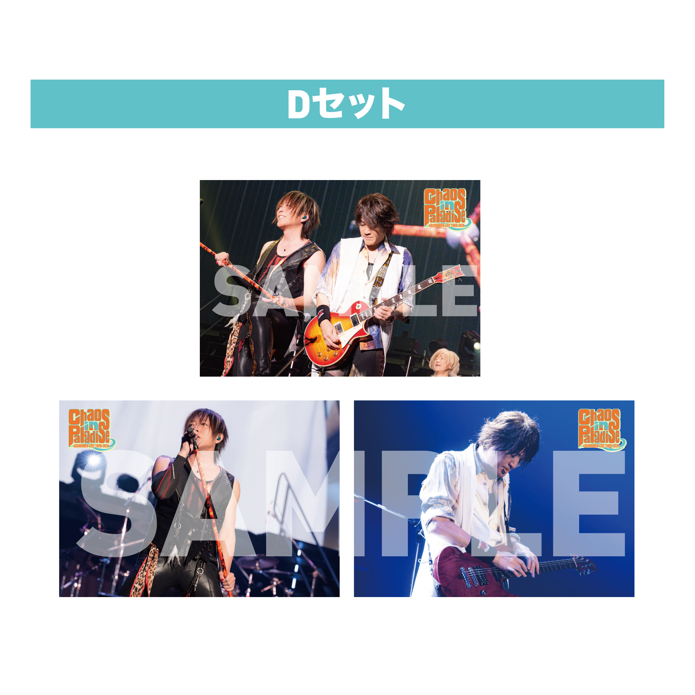 【カオパラ】G20 ライブ写真【D】