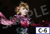 【紅シ2026】選べるゲネプロブロマイド【Team Castle】